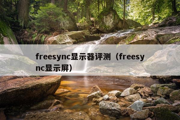 freesync显示器评测（freesync显示屏）
