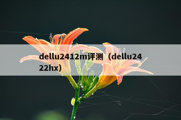 dellu2412m评测（dellu2422hx）