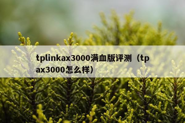 tplinkax3000满血版评测（tpax3000怎么样）