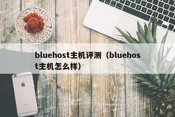 bluehost主机评测（bluehost主机怎么样）