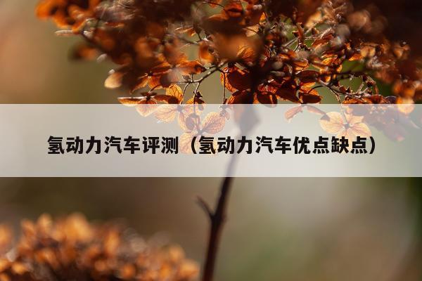 氢动力汽车评测（氢动力汽车优点缺点）