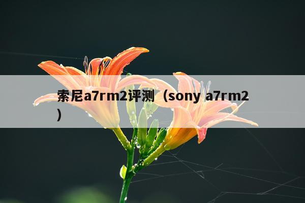 索尼a7rm2评测（sony a7rm2）