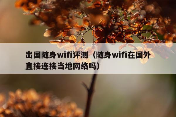 出国随身wifi评测（随身wifi在国外直接连接当地网络吗）