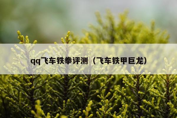 qq飞车铁拳评测（飞车铁甲巨龙）