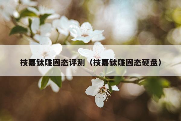 技嘉钛雕固态评测（技嘉钛雕固态硬盘）
