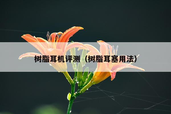 树脂耳机评测（树脂耳塞用法）