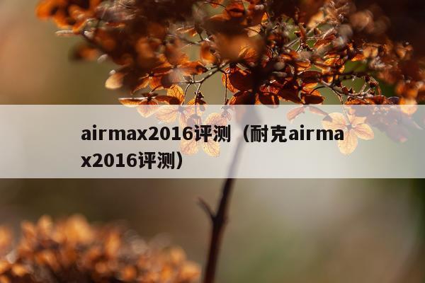 airmax2016评测（耐克airmax2016评测）