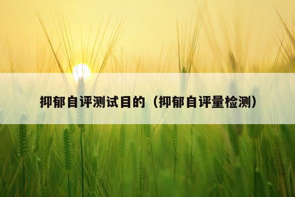 抑郁自评测试目的（抑郁自评量检测）