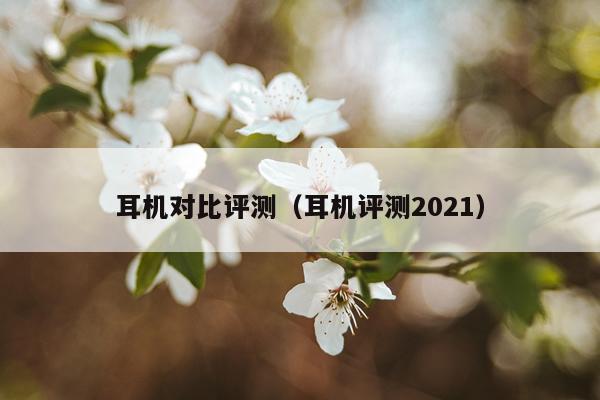 耳机对比评测（耳机评测2021）