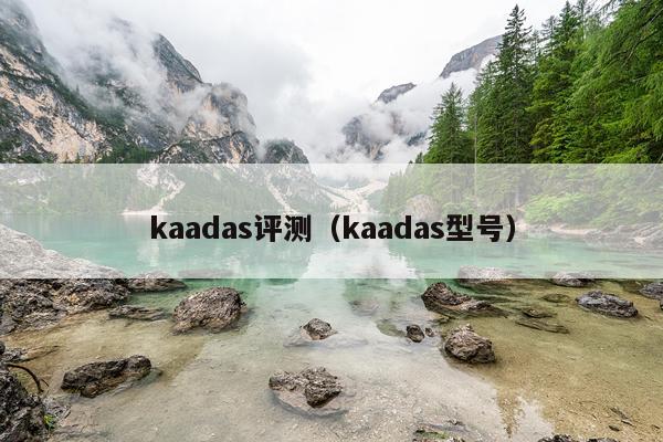 kaadas评测（kaadas型号）