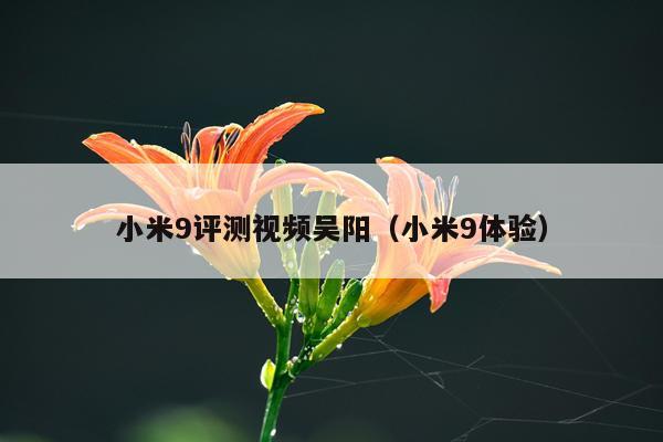 小米9评测视频吴阳（小米9体验）