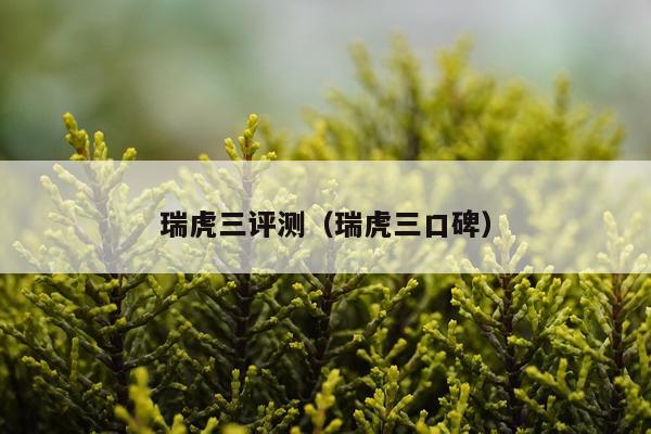 瑞虎三评测（瑞虎三口碑）