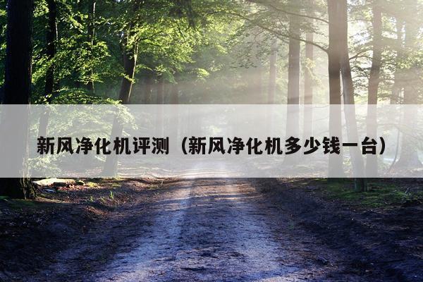 新风净化机评测（新风净化机多少钱一台）