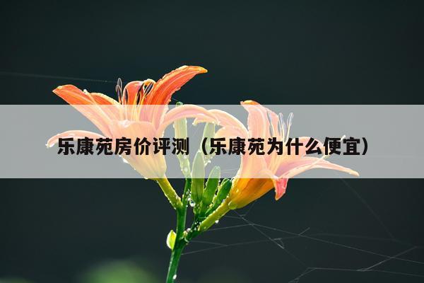 乐康苑房价评测（乐康苑为什么便宜）
