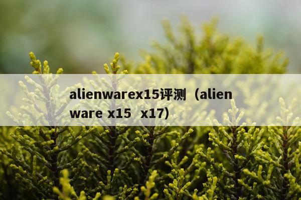 alienwarex15评测（alienware x15  x17）