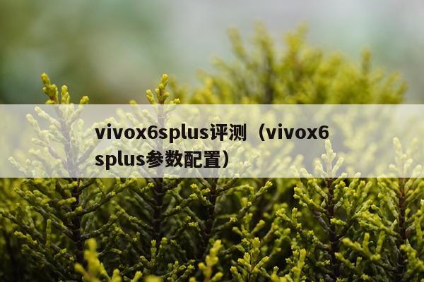 vivox6splus评测（vivox6splus参数配置）