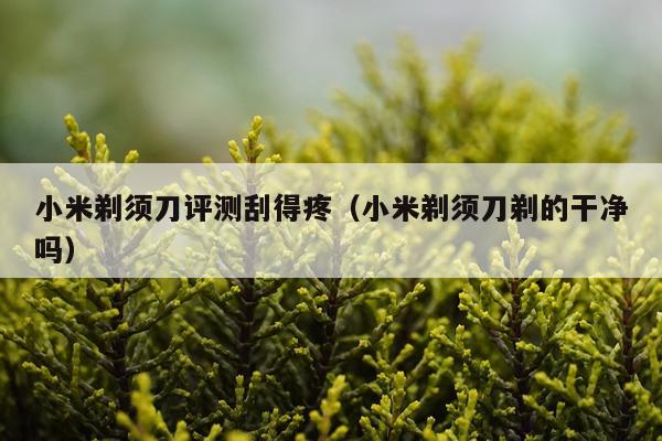 小米剃须刀评测刮得疼（小米剃须刀剃的干净吗）