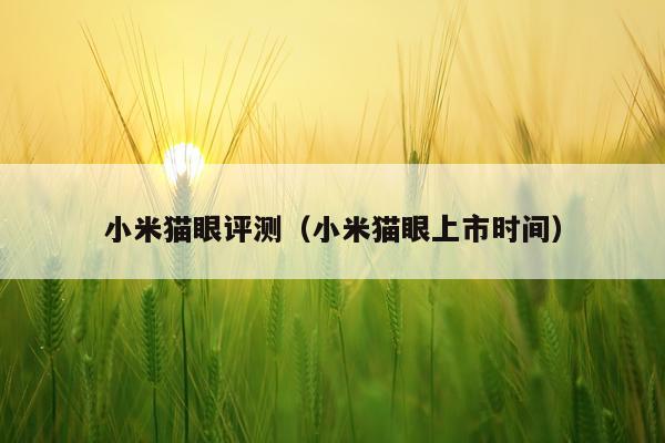 小米猫眼评测（小米猫眼上市时间）