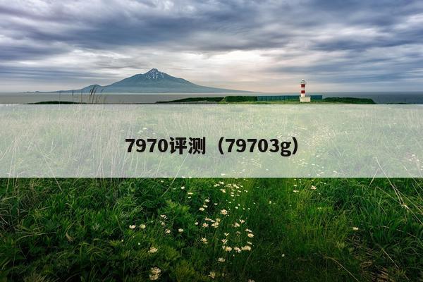 7970评测（79703g）