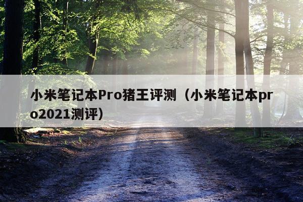 小米笔记本Pro猪王评测（小米笔记本pro2021测评）