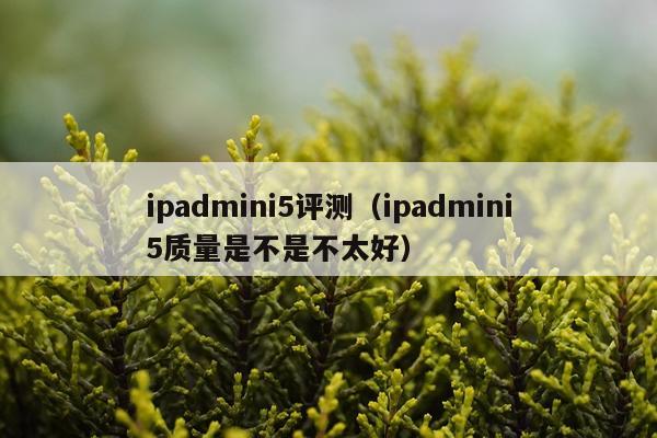 ipadmini5评测（ipadmini5质量是不是不太好）