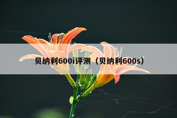 贝纳利600i评测（贝纳利600s）