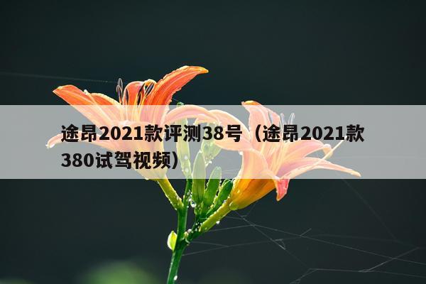 途昂2021款评测38号（途昂2021款380试驾视频）