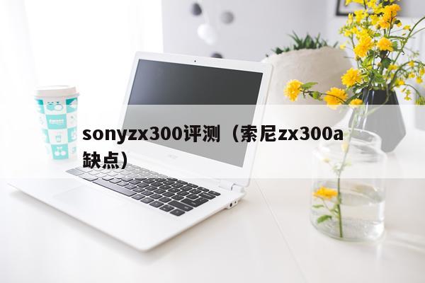 sonyzx300评测（索尼zx300a缺点）