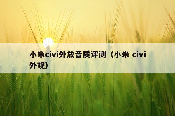 小米civi外放音质评测（小米 civi外观）