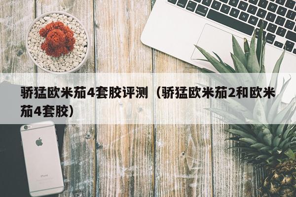 骄猛欧米茄4套胶评测（骄猛欧米茄2和欧米茄4套胶）