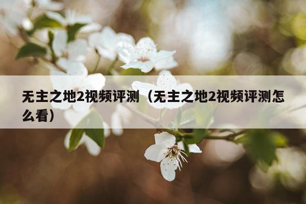 无主之地2视频评测（无主之地2视频评测怎么看）