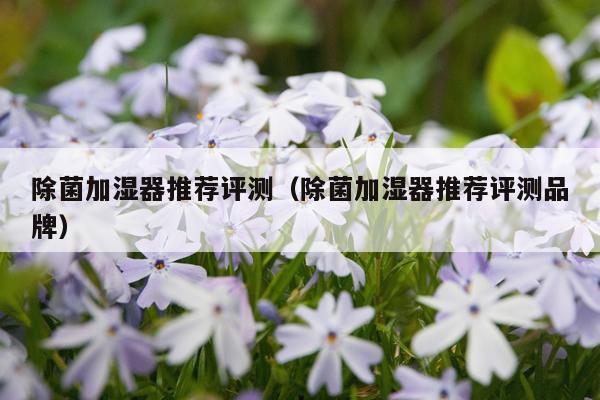 除菌加湿器推荐评测（除菌加湿器推荐评测品牌）