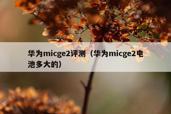 华为micge2评测（华为micge2电池多大的）