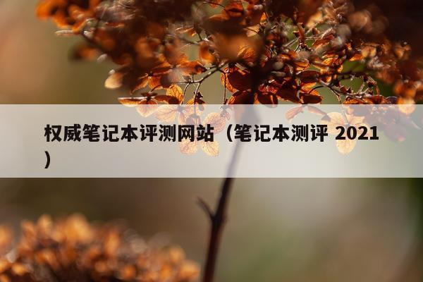 权威笔记本评测网站（笔记本测评 2021）