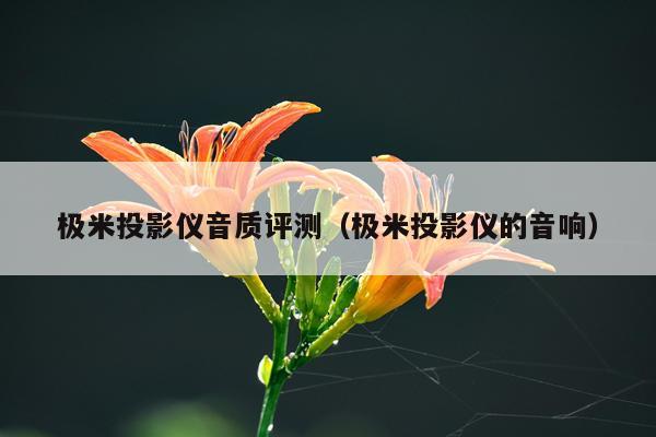 极米投影仪音质评测（极米投影仪的音响）