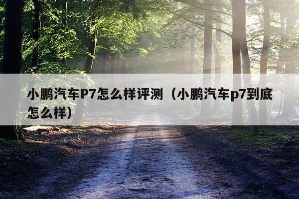 小鹏汽车P7怎么样评测（小鹏汽车p7到底怎么样）