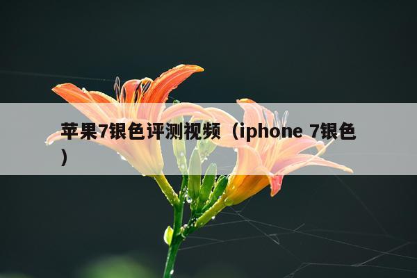 苹果7银色评测视频（iphone 7银色）