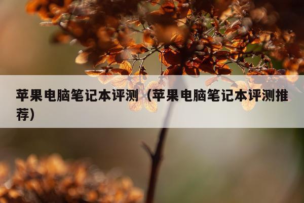 苹果电脑笔记本评测（苹果电脑笔记本评测推荐）