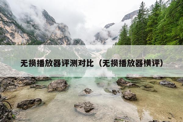 无损播放器评测对比（无损播放器横评）