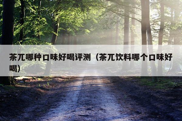 茶兀哪种口味好喝评测（茶兀饮料哪个口味好喝）