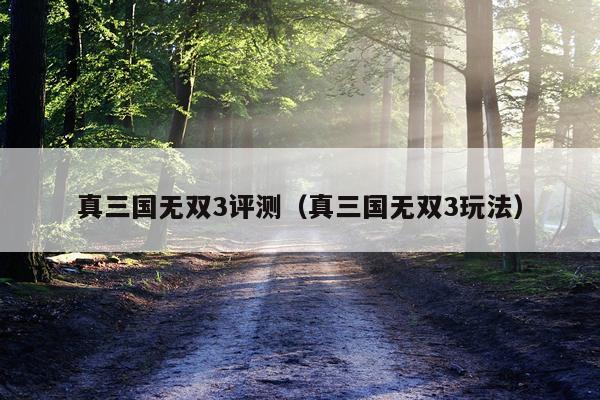 真三国无双3评测（真三国无双3玩法）