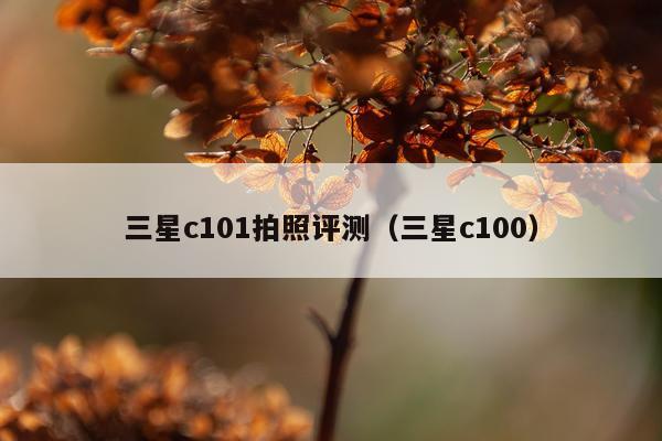 三星c101拍照评测（三星c100）