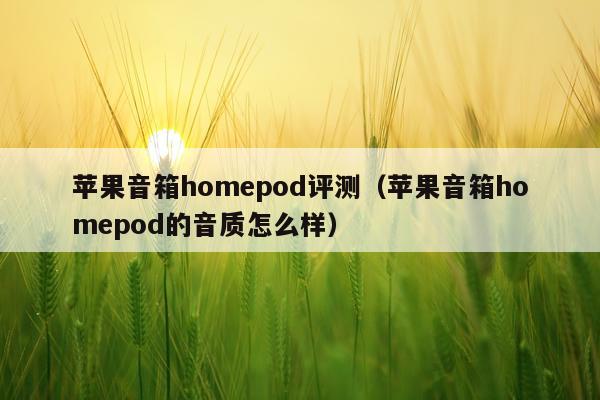 苹果音箱homepod评测（苹果音箱homepod的音质怎么样）