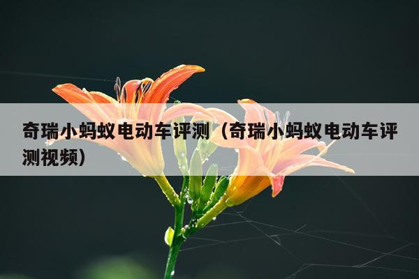 奇瑞小蚂蚁电动车评测（奇瑞小蚂蚁电动车评测视频）