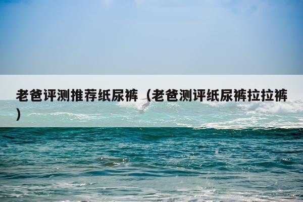 老爸评测推荐纸尿裤（老爸测评纸尿裤拉拉裤）
