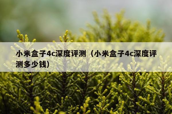 小米盒子4c深度评测（小米盒子4c深度评测多少钱）