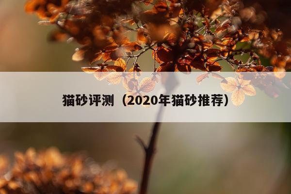 猫砂评测（2020年猫砂推荐）