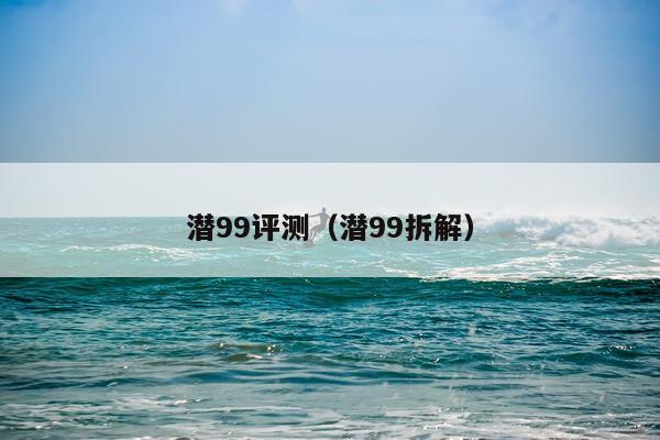 潜99评测（潜99拆解）