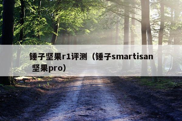 锤子坚果r1评测（锤子smartisan 坚果pro）