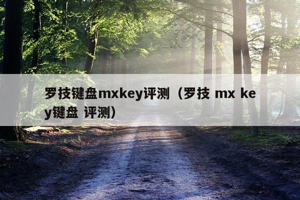 罗技键盘mxkey评测（罗技 mx key键盘 评测）